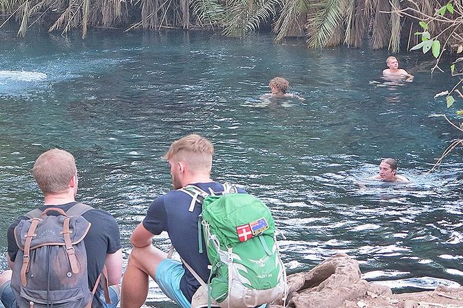 Kikuletwa Hot Spring Day Tour - Inclusions
