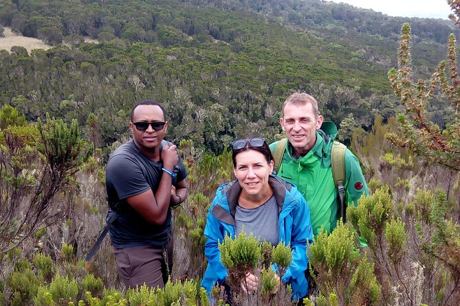 Kilimanjaro 1 Day Hike - Discover the Mandara Hut Experience