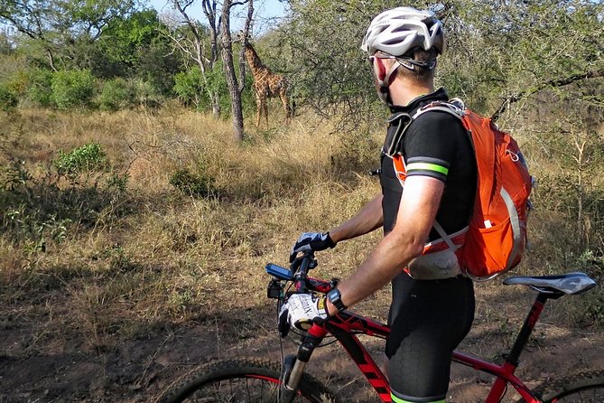 Kilimanjaro Bike Park Safari - Encounter Diverse Wildlife