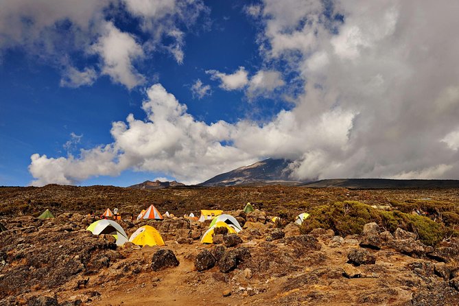Kilimanjaro Climb, Rongai Route (6-Day) - Rongai Route Itinerary