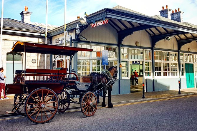 Killarney Jaunting Car & Lily of Killarney Watercoach Tour - Accessibility and Participation