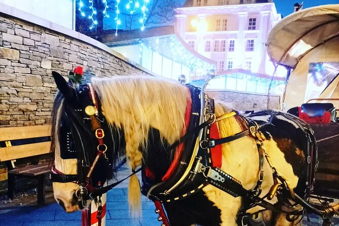 Killarney Jaunting Car Tour - Transportation and Inclusions
