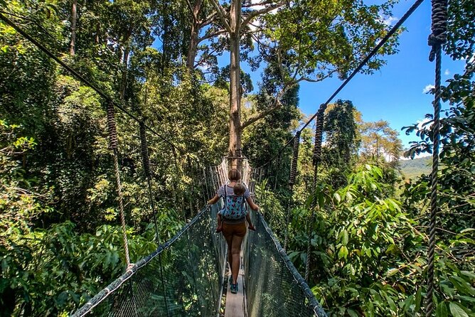 Kinabalu Park Tour With Desa Dairy Farm & Poring Hot Springs - Exploring Desa Dairy Farm