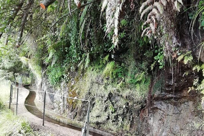 Kings Levada - São Jorge - Booking Information