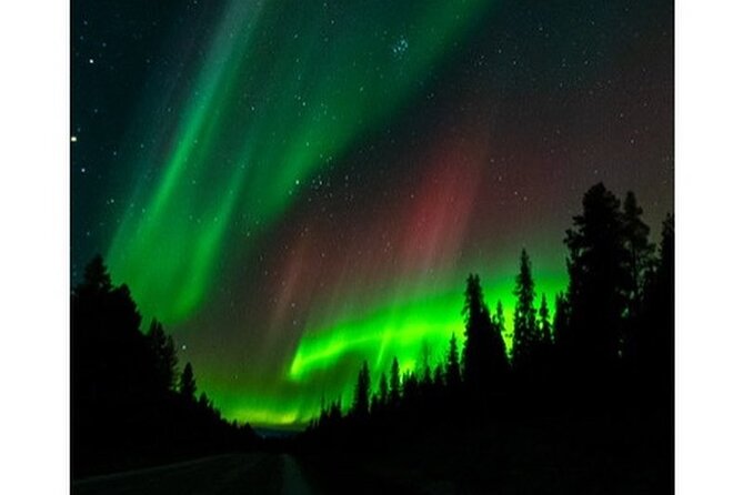 Kiruna -Abisko Aurora Tour With Local Guide - Witnessing the Northern Lights in Abisko