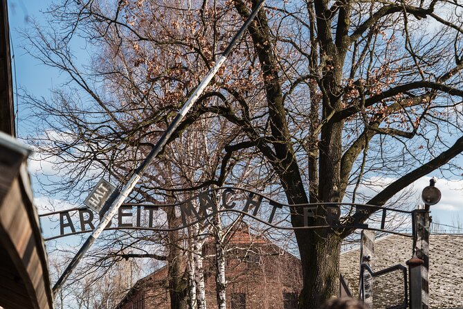 Krakow - Auschwitz Museum: Shuttle Bus Ticket - Accessibility and Participation