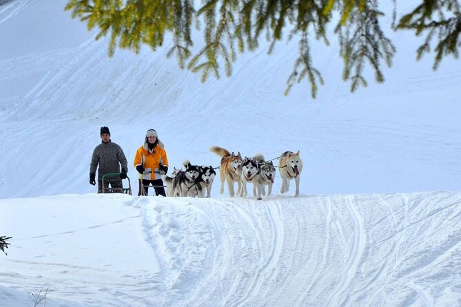 Kraków Full Dog Sled Ride - Pickup Information and Details
