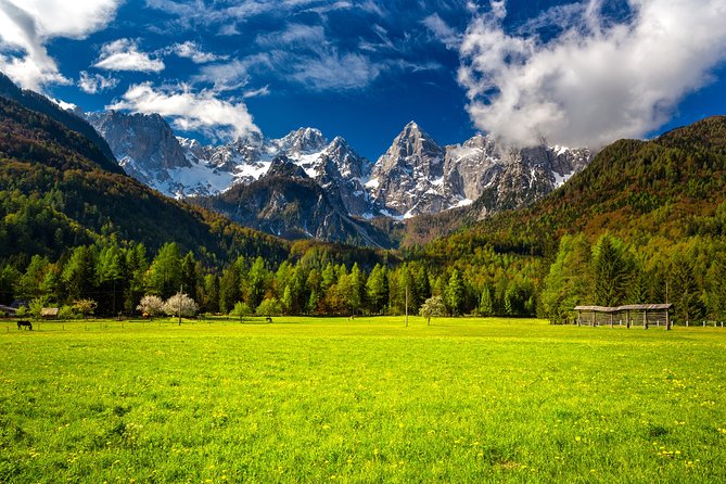 Kranjska Gora Mountain Biking - Choosing Your Electric Bike