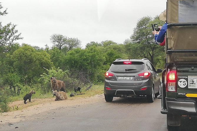 Kruger National Park 2 Days 1 Night Magical Safari From Johannesburg Private - Itinerary Overview