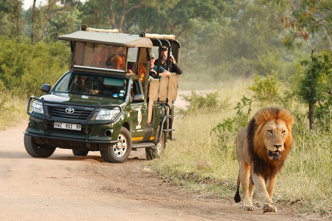 Kruger National Park Afternoon Private Safari - Meeting and Pickup Information