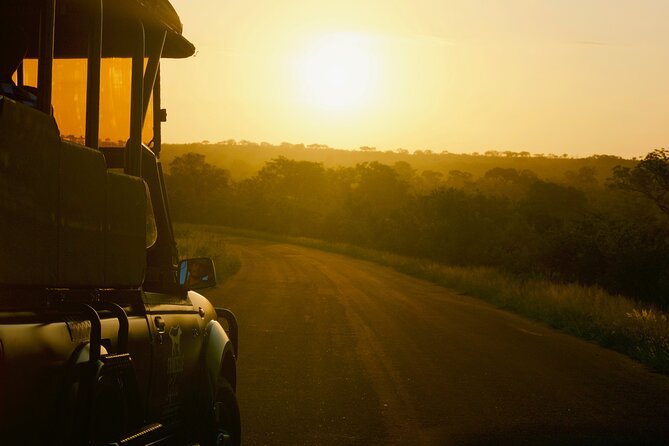 Kruger National Park Guided Day Tour Including Hotel Pick-Up and Drop-Off - Inclusions and Amenities