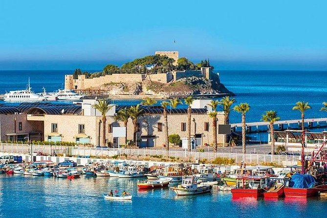Kusadasi Shore Excursion: Private Full-Day Tour to Ephesus, Didyma and Miletus - Discovering Ancient Archaeological Sites