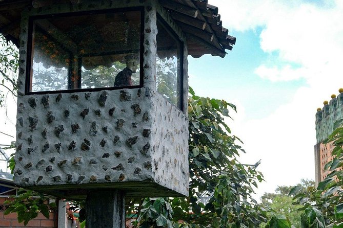 La Catedral Prison Trek - Exploring the Colombian Jungle