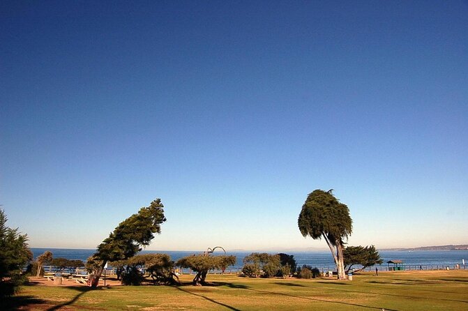 La Jolla Jig Scavenger Hunt - Inclusions and Requirements for Participation