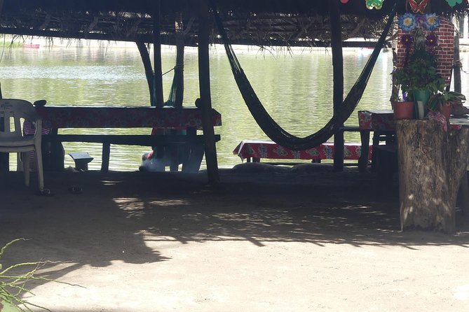 Lagoon Ride AfroMex Village Baby Turtle Release &Croc Farm Visit - Meeting and Pickup Information
