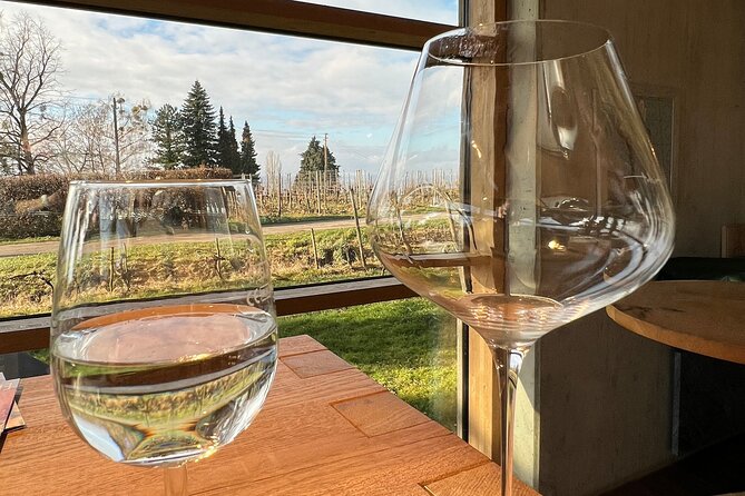 Lake Constance Wine Tour Day Tour Wine Tasting at 3 Winemakers - Winery Visits