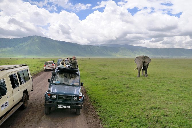 Lake Manyara National Park Full-Day Tour From Arusha - Wildlife Viewing Highlights