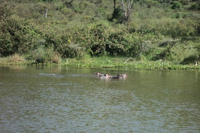 Lake Naivasha Day Tour Including the Crescent Island - Highlights of the Day