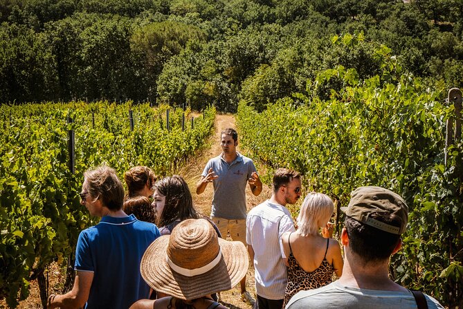 Lapi&Tour Guided Tour of the Cellars With Wine Tasting - Highlights of the Guided Tour