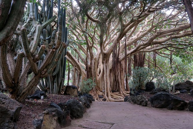 Las Palmas, Botanical Garden & Bandama Crater Tour - Gran Canaria - Meeting and Pickup Details