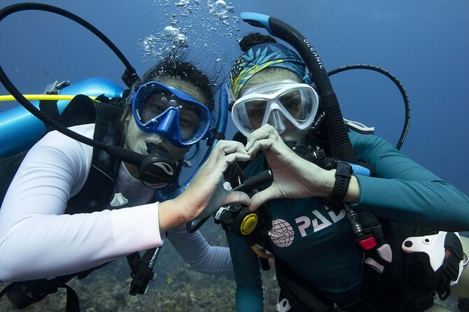Learn Scuba Diving in Tenerife With Photos Included - Booking Process and Confirmation