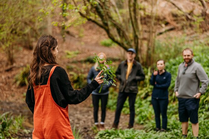 Learn to Forage in Llangollen - Uncovering Edible Wild Plants