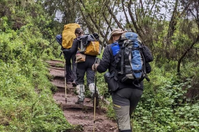 Lemosho Route 8 Days Kilimanjaro Climbing Tour - Meals and Accommodations