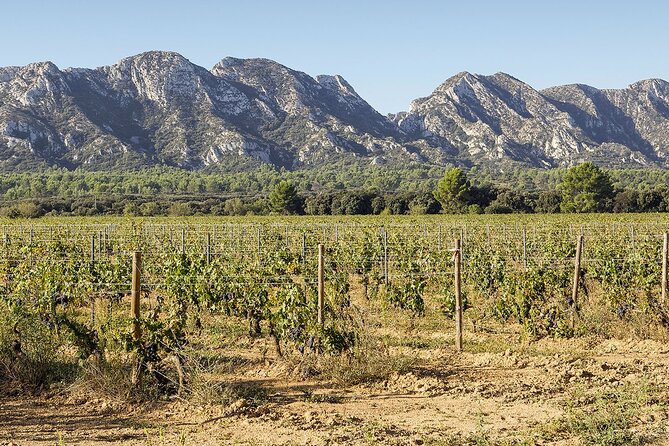 Les Baux De Provence: Wine Day Tour: 8 Hours - Itinerary Overview