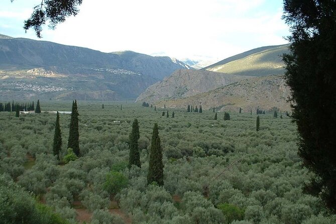 Liapades Private Guided Beaches and Olive Grove Hike  - Corfu - Route to Rovinia Beach