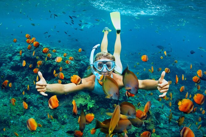 Lihaga Island (White Sand Island) Swimming Twice, Including Lunch and Tickets - Meeting and Pickup Details