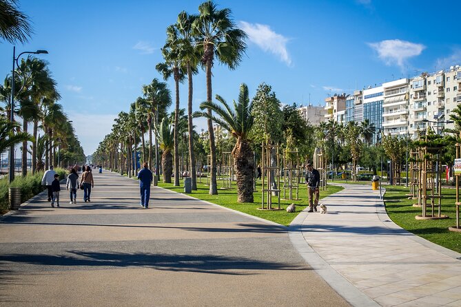 Limassol Like a Local: Customized Private Tour - Accessibility and Logistics