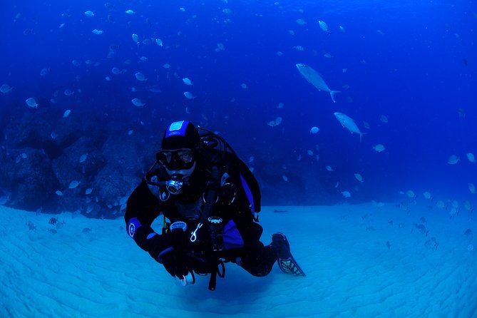 Lisbon Eco-Try Dive - Diving Baptism - Traveler Photo Sharing