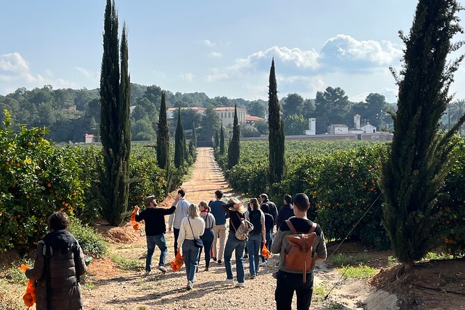 Live an Experience Among Orange Trees in Huerto Ribera - Additional Information