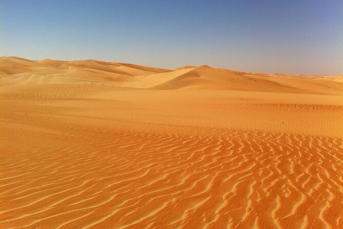 Liwa Over Night Safari - Dune Bashing Adventure