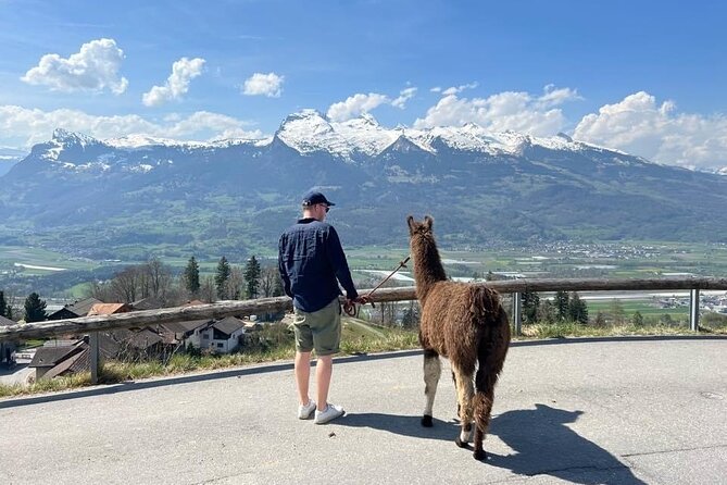 Llama Hike Through the Wonderful Liechtenstein Mountains - Detailed Tour Inclusions