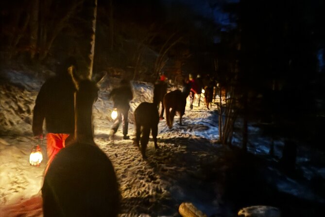 Llama Hike With Homemade, Traditional Cheese Fondue - Inclusions