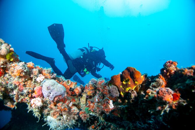 Local Reef Dives for Certified Divers - Meeting and Pickup Information