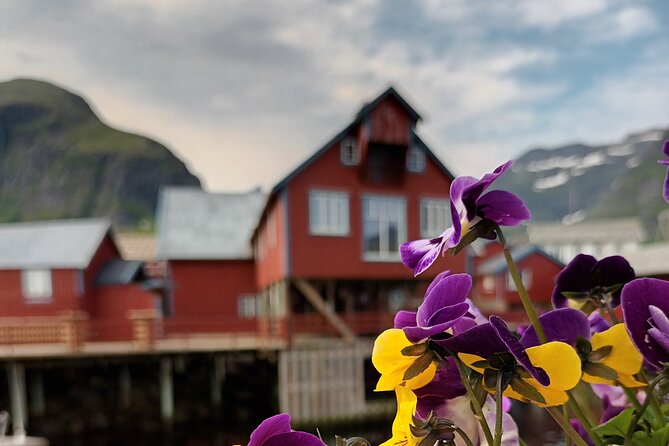 Lofoten VIP PRIVATE Tour From Leknes City / Port - Traveler Photos and Experiences