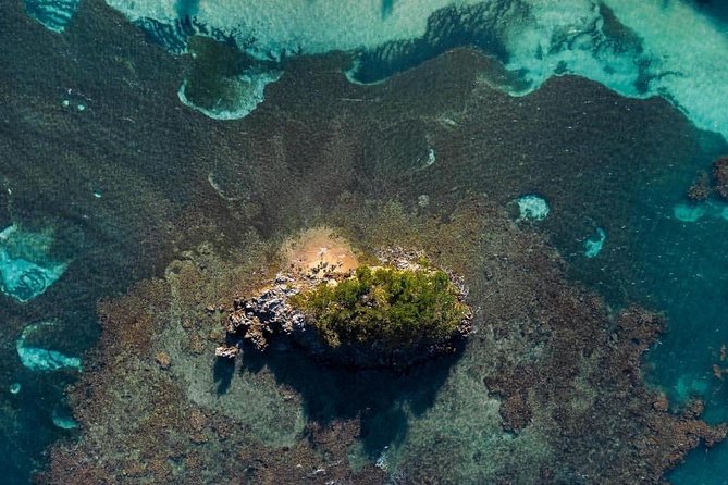 Los Haitises National Park Hiking 2 Hours and Kayaking 4 Hours - Exploring the Mangrove Swamps