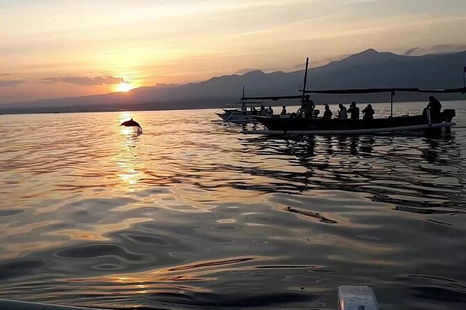 Lovina Sunrise Dolphin With Option Snorkeling and Waterfall - What to Expect