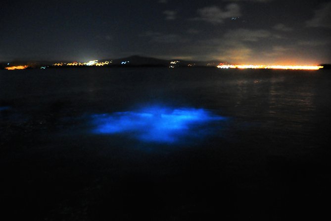 Luminous Lagoon Glistening Waters Tour From Falmouth - Participant Guidelines