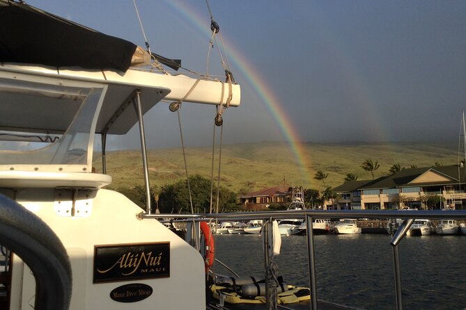 Luxury Catamaran Whale Watch - Accessibility and Participation
