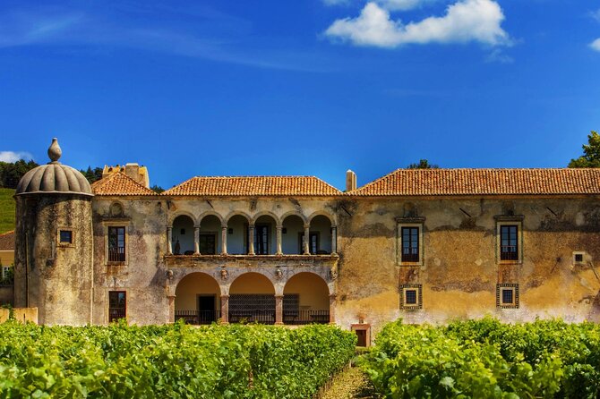 Luxury Private Arrábida Tour and Bacalhoa Palace With Exclusive Wine Taste - Inclusions and Exclusions
