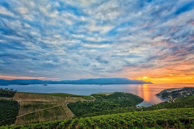 Luxury Private Transfer Split - Dubrovnik With Lunch in Ston - Sightseeing Stop in Ston for Lunch