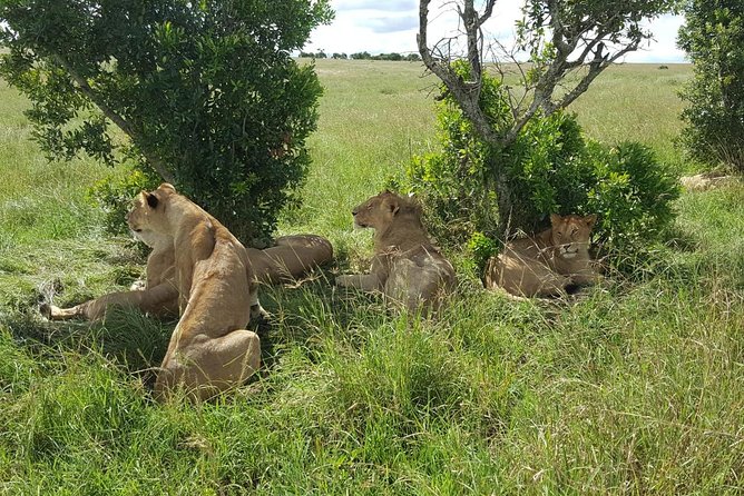 Maasai Mara Game Reserve - Inclusions and Exclusions