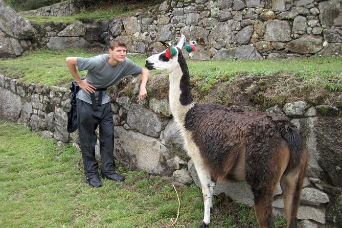Machupicchu by Train - 2 Days- 1 Night - Highlights of the Tour