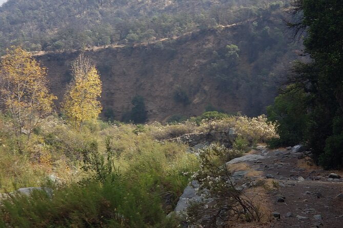 Macul Ravine 6 Hours Knowing the Natural Environment of Chile - Transportation and Inclusions