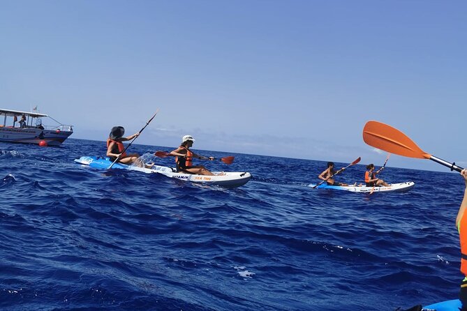 Madeira Island Kayak Experience - Public Transportation and Physical Fitness