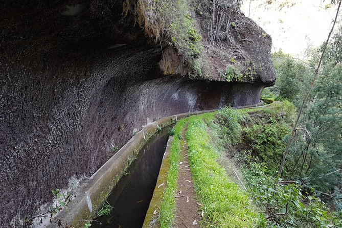Madeira: Private Camacha Levada Do Tornos Walk - Inclusions