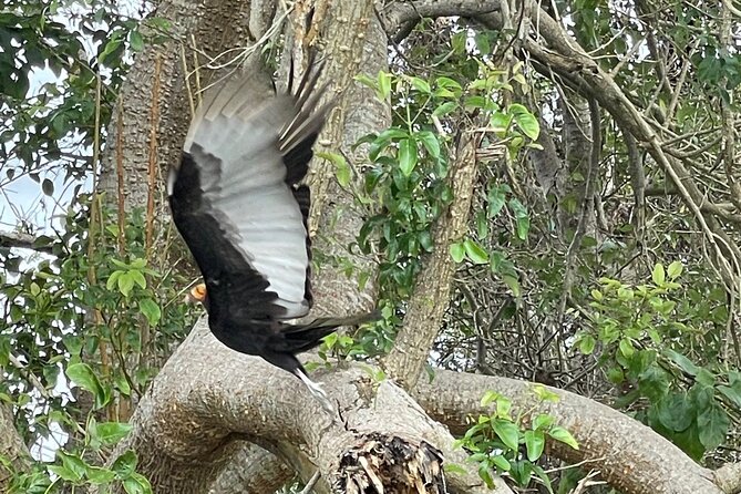 Magdalena River Safari - 6 Hours - Inclusions and Amenities